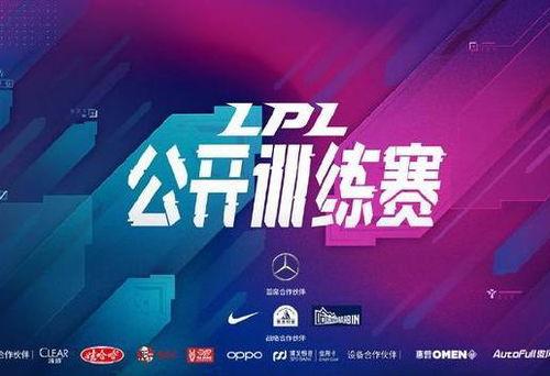 缅北最新爆料新闻直播回放,直播回放揭示惊人内幕